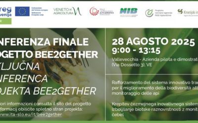 Zaključna konferenca BEE2GETHER