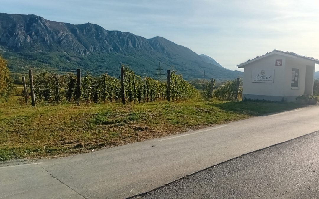 Martinov pohod, 23. 11. 2025, Lože