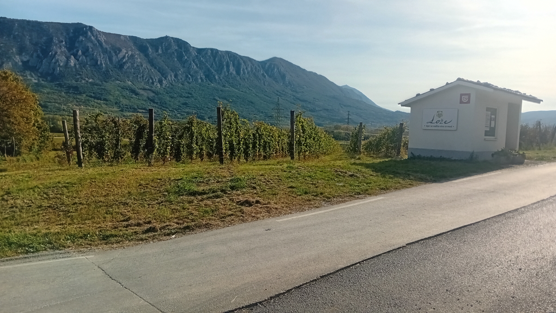 Resized_20251019_113706_1760941207726