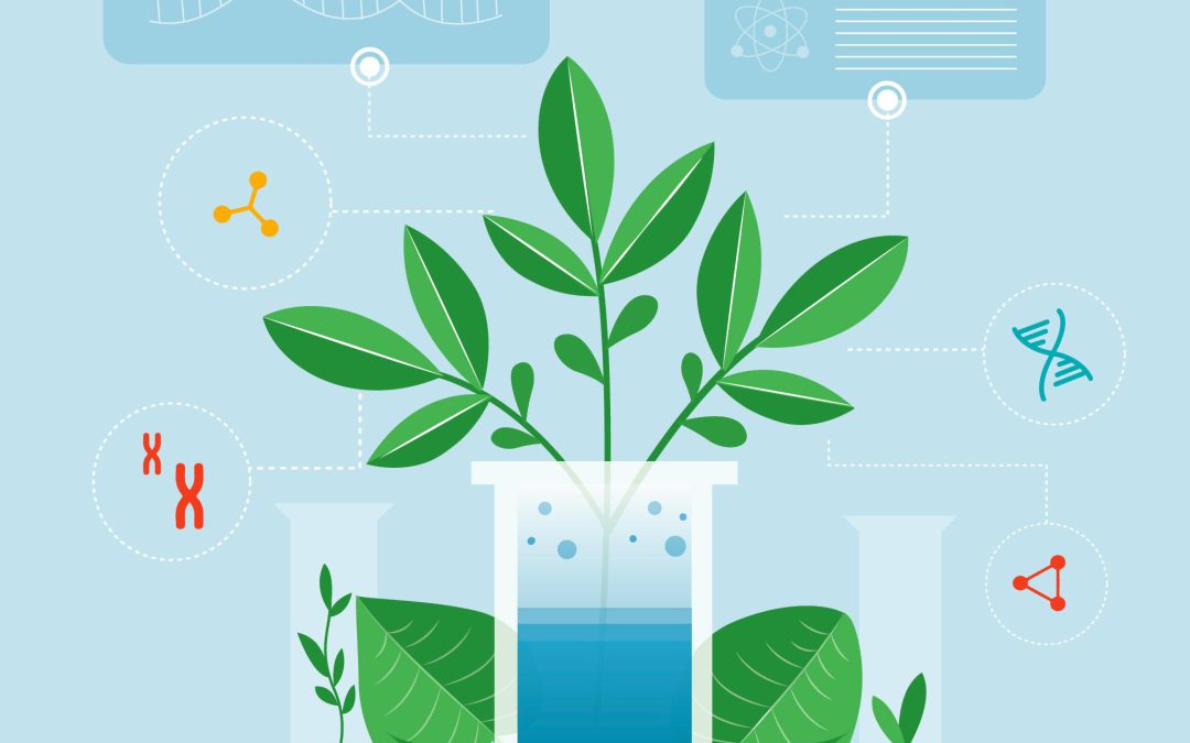 Brezplačne strokovne storitve za podjetja in kmetije v agroživilstvu – podaljšan razpis v okviru projekta BioTech2Agri