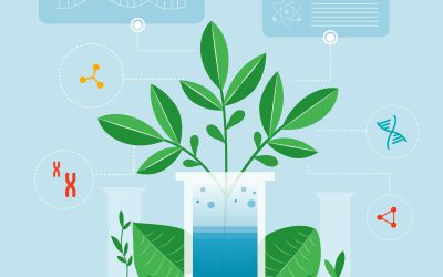 Brezplačne strokovne storitve za podjetja in kmetije v agroživilstvu – podaljšan razpis v okviru projekta BioTech2Agri