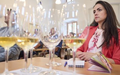 Začetek projekta LAS Vinske harmonije