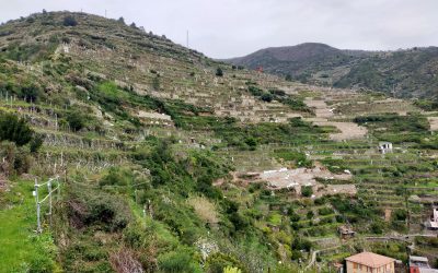 Tretje partnersko srečanje projekta RESPOnD