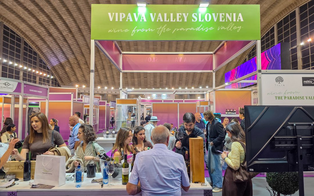 Predstavitev vinarjev Vipavske doline na sejmu Wine Vision v Beogradu